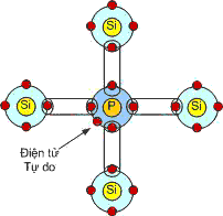 Bandann